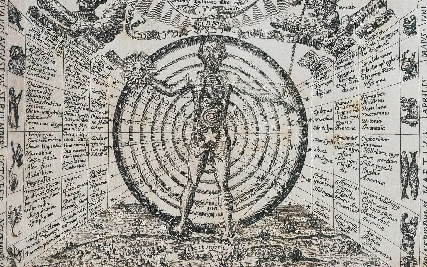 Article image 1